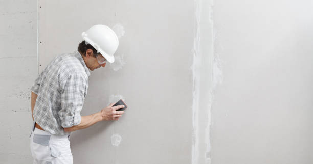 Best Mold Damage Restoration  in Augusta, ME