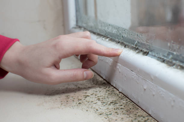Best Residential Mold Inspection & Testing  in Augusta, ME