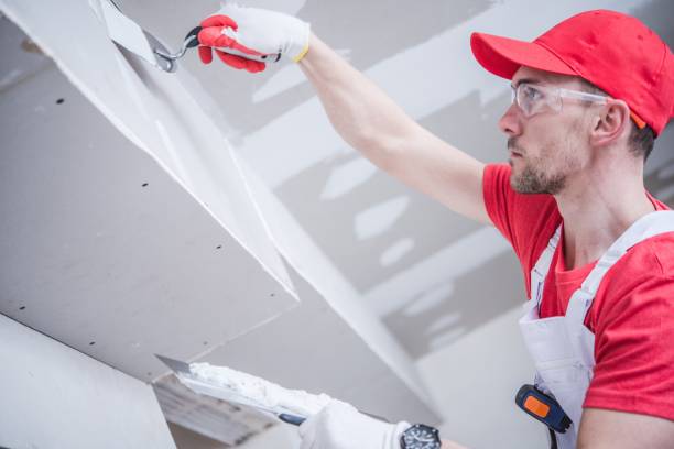 Best Forensic Mold Investigation  in Augusta, ME