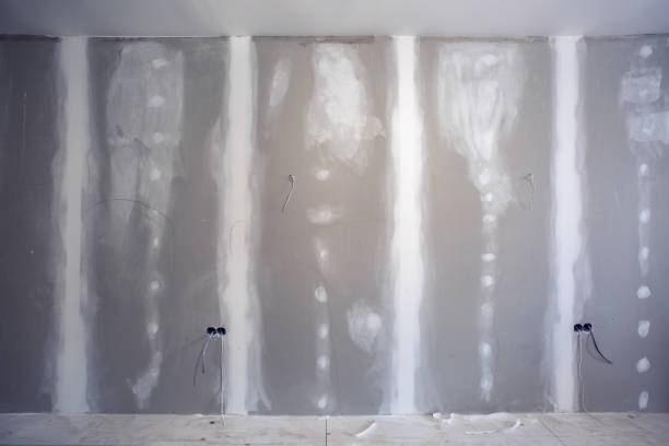Best Black Mold Removal  in Augusta, ME